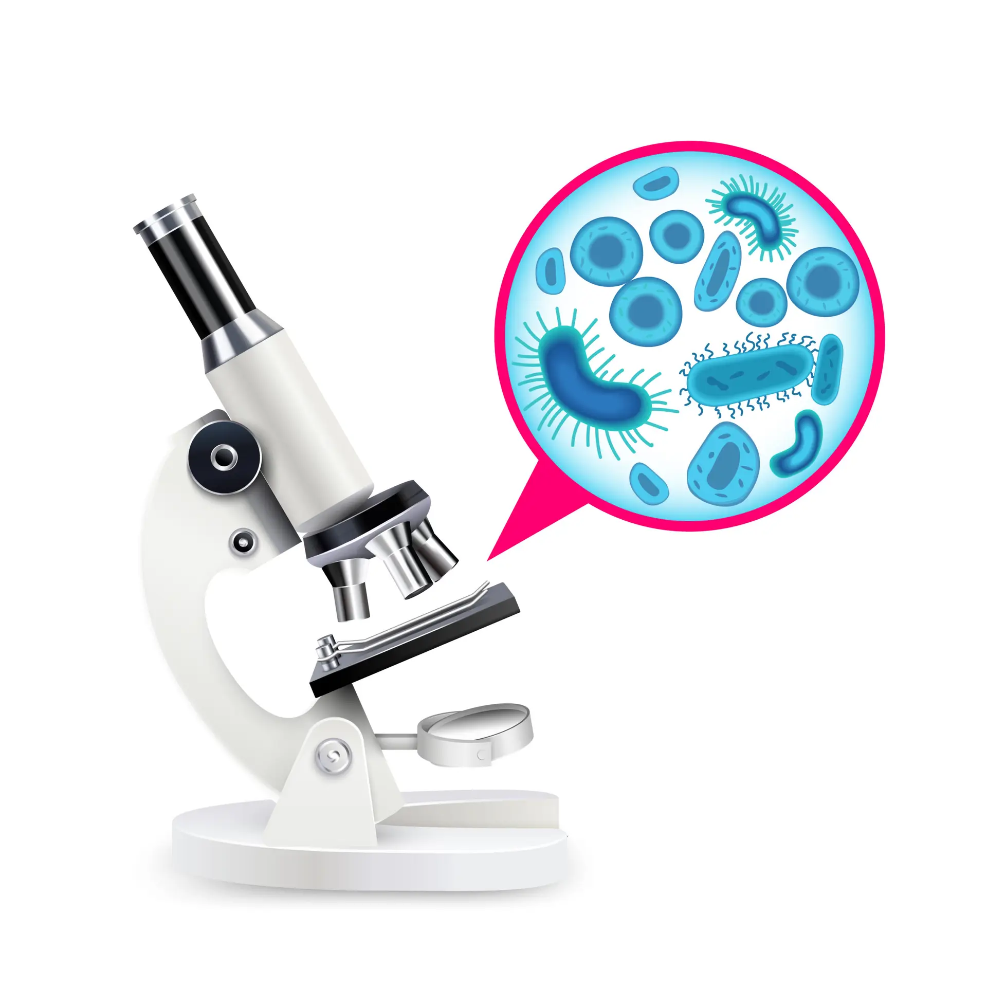 Biology Simulations