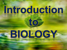 Intro to Biology