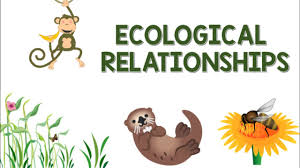 Ecology & Inter-relationships